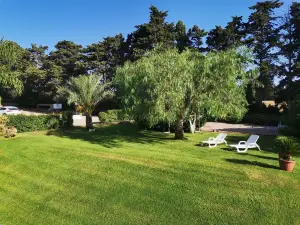 เตนูตา ตัวร์คี