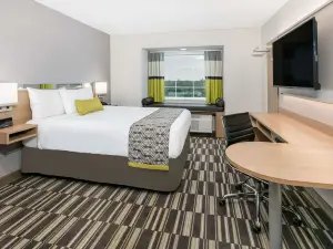 Microtel Inn & Suites by Wyndham Lubbock