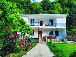Family Hotel Mountain Panorama