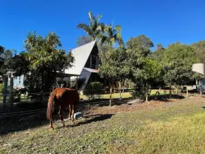 Seraphim Retreat Nannup's All-Species Farm Cottage