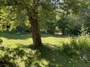 Genuine 100 Year Old Countryside Cottage