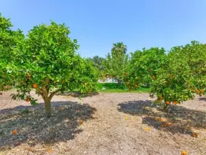 Finca Can Miro