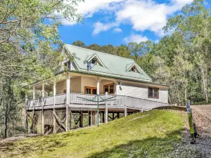 Blokhus - a stunning treetop retreat immersed in nature