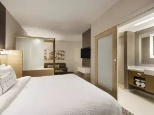 スプリングヒル スイーツ バイ マリオット アレンタウン ベツレヘム/センター バレー