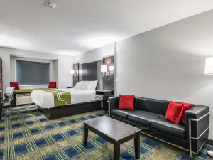Quality Inn Owatonna Near Medical Center