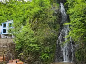 Royal Falls TATİL Koyu