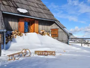 Koča Ojstrica - Velika Planina