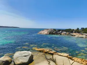 Briar Cottage Weldborough