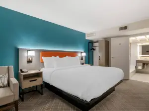 Comfort Inn & Suites Clemson - University Area