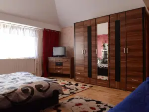 Vila Perla Sapanteana