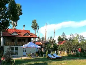 Captain's House by the Danube River
