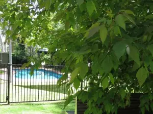 Beechworth Holiday Park