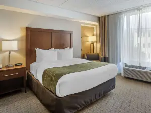 Comfort Inn Shady Grove - Gaithersburg - Rockville