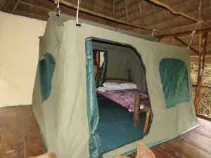 Jungle Lodge Kibale