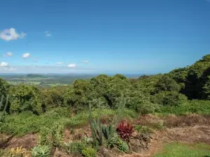 Mountain Retreat with ocean views and fireplace