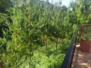 Usambara Residence. Private, Cozy, Close to Nature