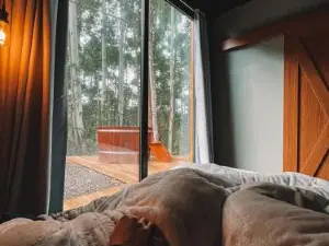 Container Abobora na Natureza da Serra Gaúcha