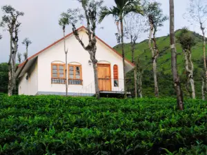 Tea Terrace Vythiri Resort