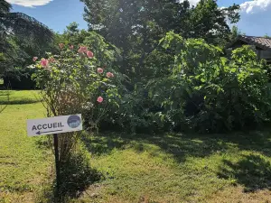 Gîte le cèdre Bleu
