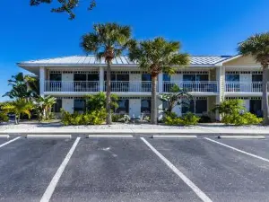 Come Stay Where the Dolphins Play!