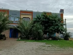L'Hirondelle de Kelibia : Chez Amou