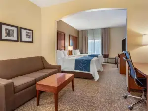 Holiday Inn Express & Suites Leesburg - Historic District