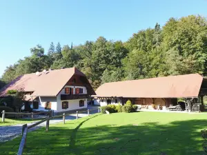 Domačija Šeruga Countryside Hotel