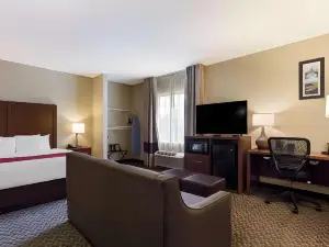 Comfort Suites North Mobile