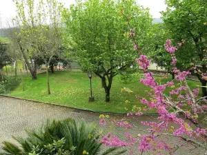 Inviting 2-Bed House in Prozelo
