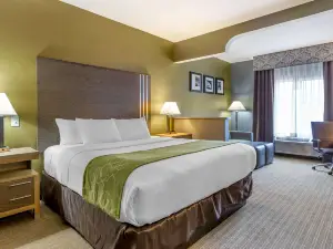 Comfort Suites Southgate-Detroit