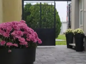 Villa Ponte