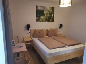 Pasching-Klinglhuber