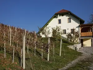 Vineyard Cottage Majzelj