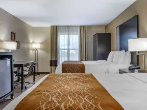 Comfort Inn Near Downtown & Blue Ridge Pkwy
