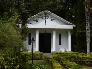 Biazi Paradise Hotel