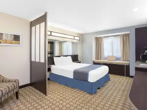 Microtel Inn & Suites by Wyndham San Angelo