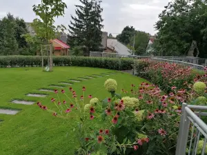 Tóni Villa