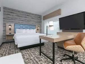 Hampton Inn & Suites by Hilton Shenandoah the Woodlands