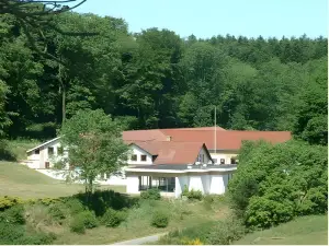 Thise Ladegaard