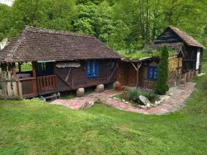 Mikin Vajat I Ribnjak Korenita, Loznica