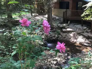 Quiet 2BR Jasper Cabin w/ Tranquil Creek Views