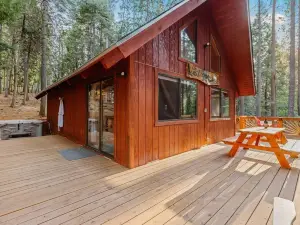 NEW - Lassen Tree Cabin with Hot Tub