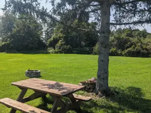 Country Winter Getaway!  2Br Rural House Property, Dog Friendly with a Hot Tub!