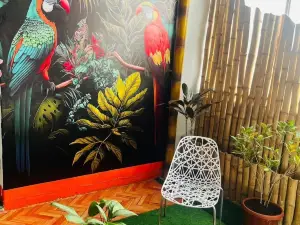 A&T Amazon Backpacker - Rooftop