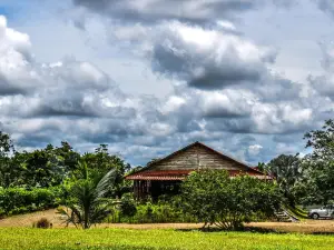 Hotel del Bosque