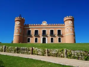Castillo de Monte la Reina Posada Real & Bodega