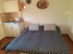Studio Apartman Miko