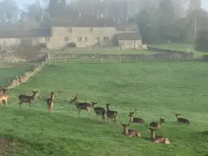 Derbyshire Cottage for 4, 1 Hour Per Day Private Pool Use