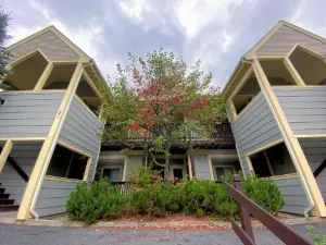 S27 Family Style Bretton Woods Condo - Close to Mt Washington Hotel in Cog