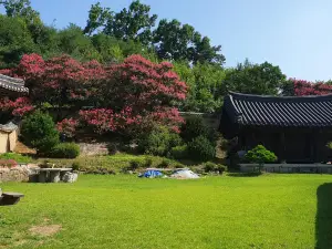 Ahndong Kimjongtaek Yangsodang